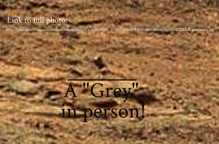 marsalien
