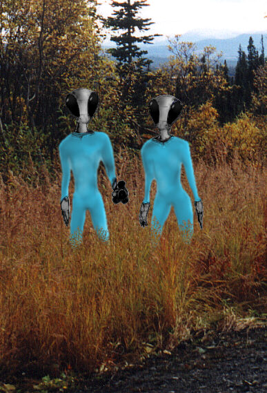http://www.ufobc.ca/yukon/n-canol-abd/images/fig09-aliens-crop.jpg