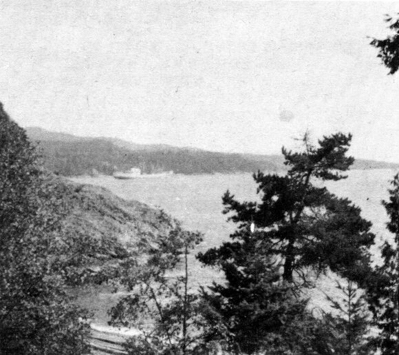 nest5.jpg (73285 bytes)