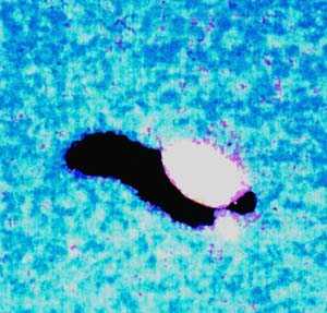 UFO
                          photo by Frank Robinson - 800X Enlargement -
                          Prince Rupert, BC - 1996