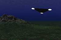 Computer image created by witness.