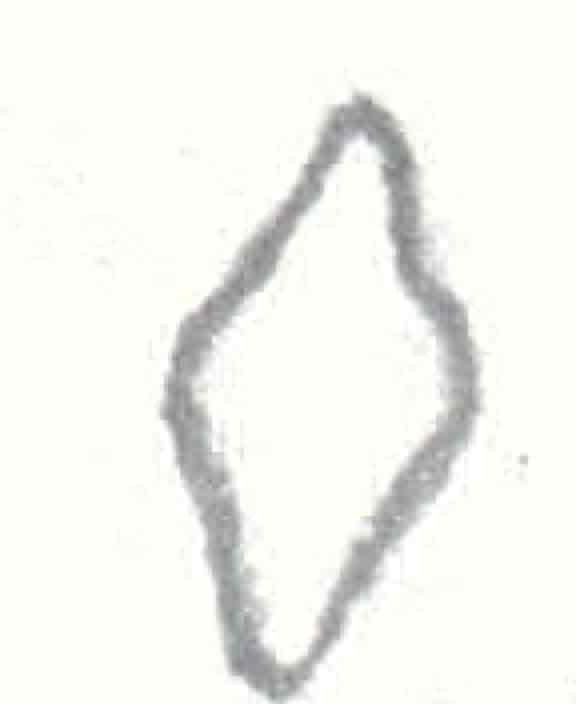 Port McNeill Drawing1
