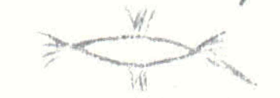 Port McNeill Drawing2