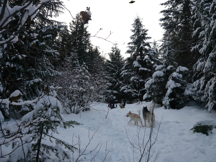 Rossland Disc