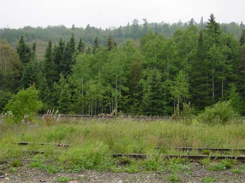 kinross - Limer Railway Siding