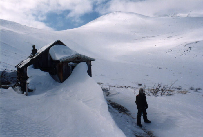 montana-mt-cabin+man.jpg (48390 bytes)